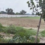Industial Plot for Sale in Chherat