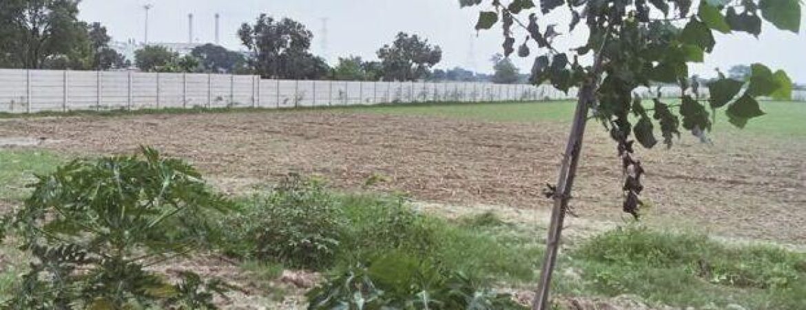 Industial Plot for Sale in Chherat